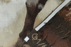 Anamorphose du taureau