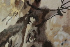 Anamorphose du taureau